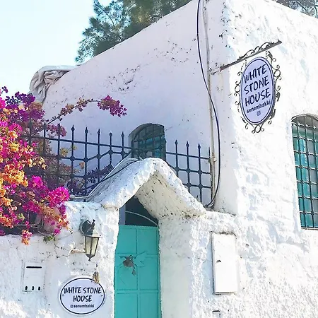 Villa White Stone House *