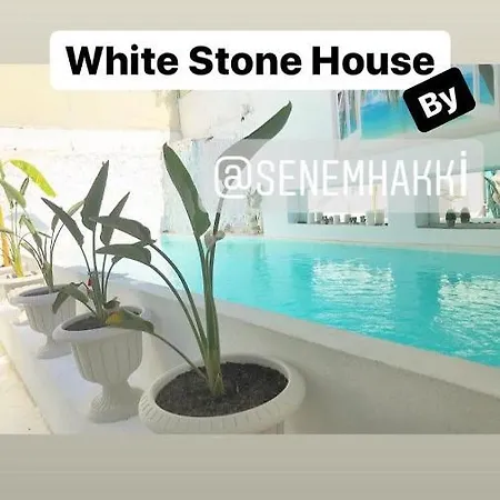 White Stone House