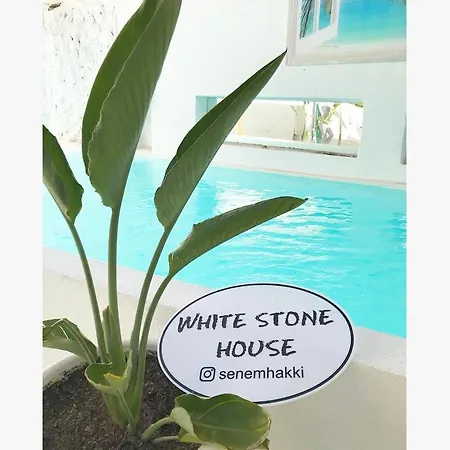 Villa White Stone House
